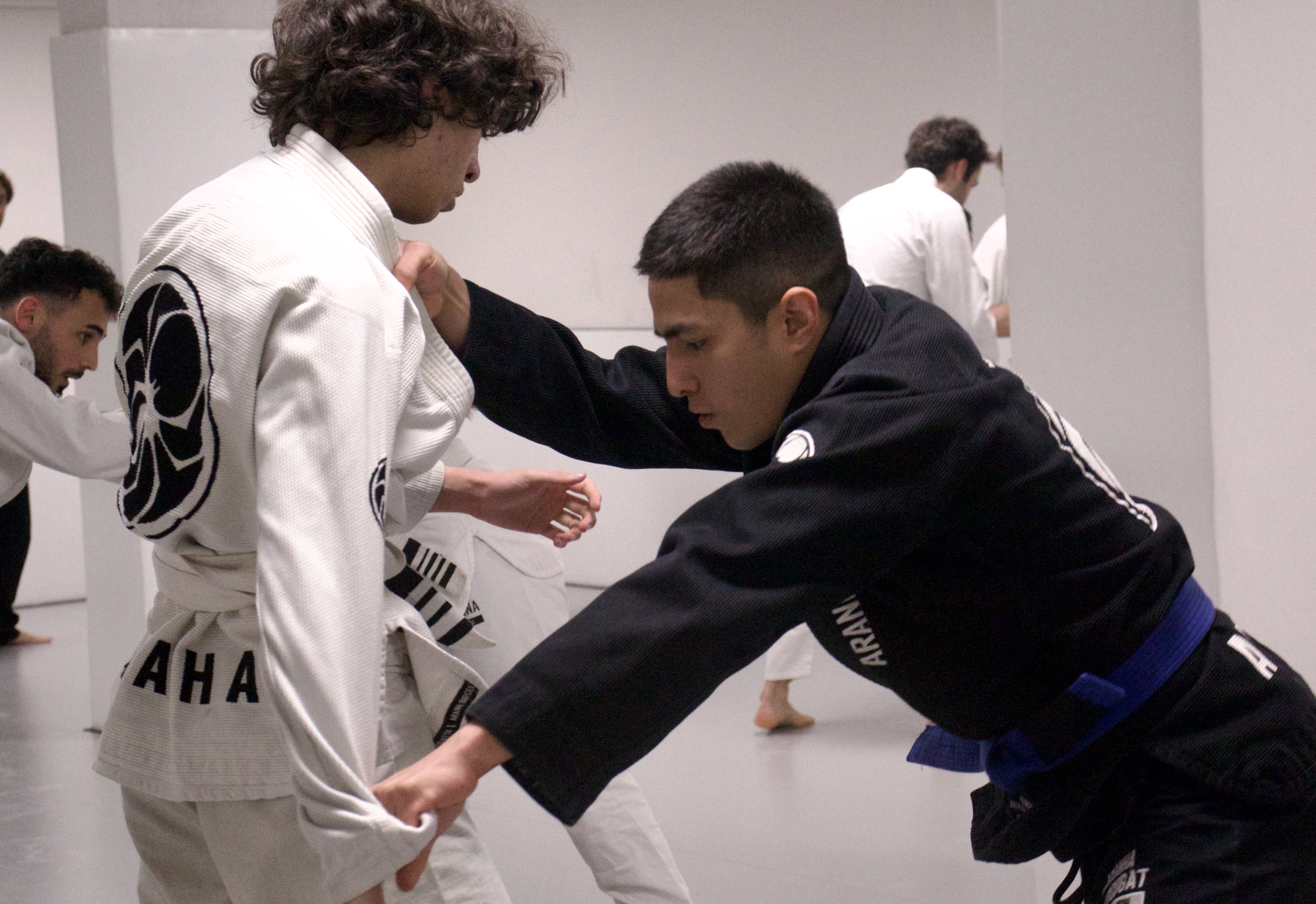 Sparring adultos