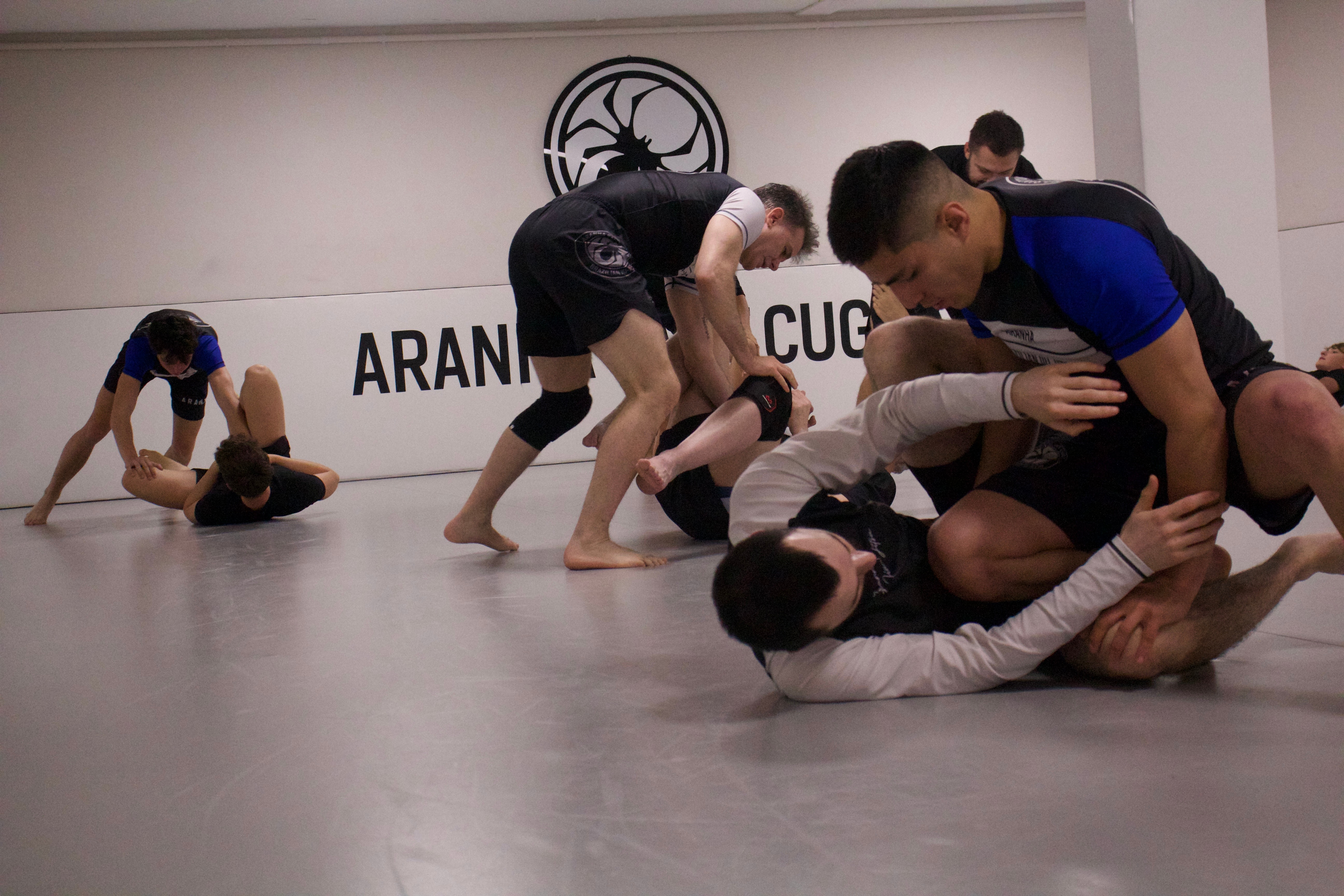 Submission Wrestling