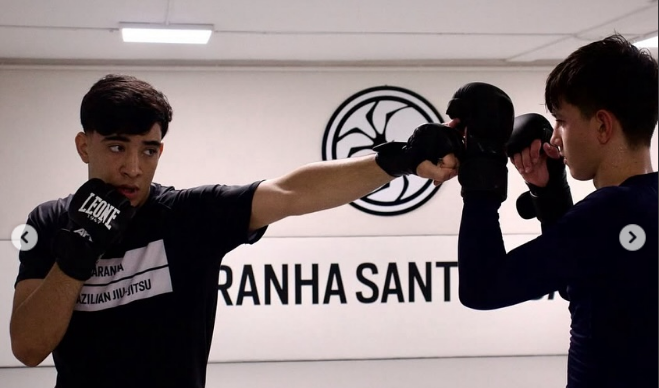 Artes Marciales Mixtas